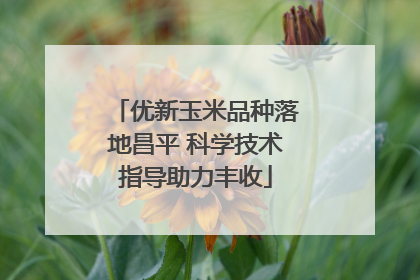 优新玉米品种落地昌平 科学技术指导助力丰收