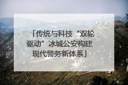 传统与科技“双轮驱动”冰城公安构建现代警务新体系