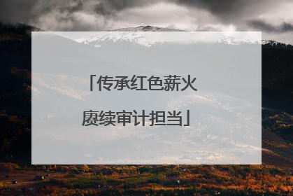 传承红色薪火 赓续审计担当