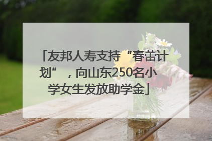 友邦人寿支持“春蕾计划”，向山东250名小学女生发放助学金