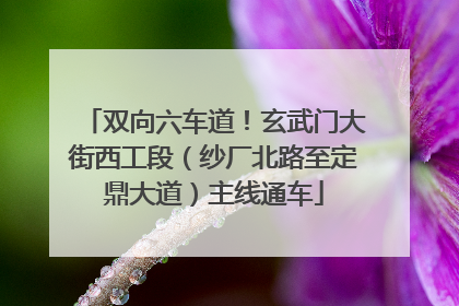 双向六车道！玄武门大街西工段（纱厂北路至定鼎大道）主线通车