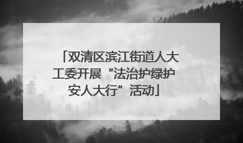双清区滨江街道人大工委开展“法治护绿护安人大行”活动