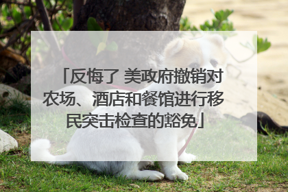 反悔了 美政府撤销对农场、酒店和餐馆进行移民突击检查的豁免
