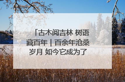 古木阅吉林 树语藏百年｜百余年沧桑岁月 如今它成为了“镇园之宝”