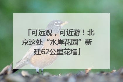 可远观，可近游！北京这处“水岸花园”新建62公里花墙