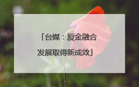 台媒：厦金融合发展取得新成效
