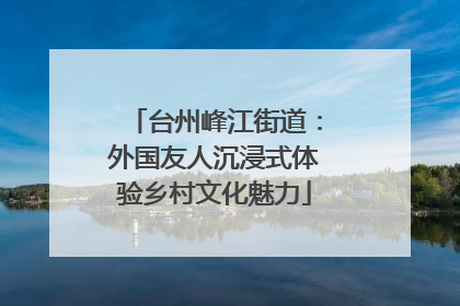 台州峰江街道：外国友人沉浸式体验乡村文化魅力