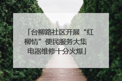 台柳路社区开展“红柳情”便民服务大集 电器维修十分火爆