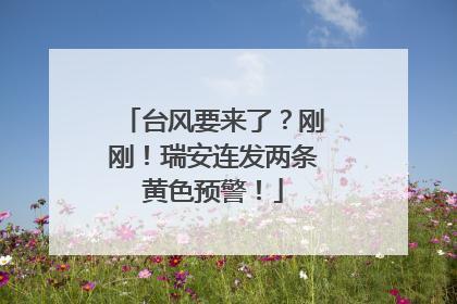台风要来了？刚刚！瑞安连发两条黄色预警！