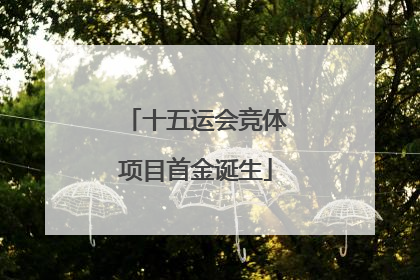 十五运会竞体项目首金诞生