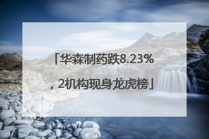 华森制药跌8.23%，2机构现身龙虎榜