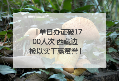 单日办证破1700人次 西藏边检以实干赢赞誉