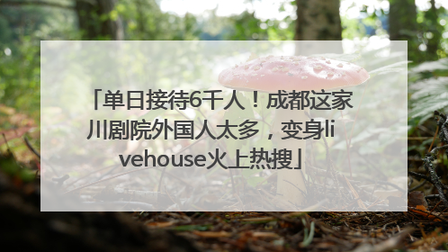 单日接待6千人！成都这家川剧院外国人太多，变身livehouse火上热搜