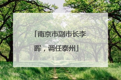 南京市副市长李晖，调任泰州