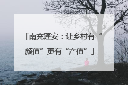 南充蓬安：让乡村有“颜值”更有“产值”