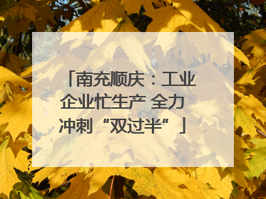 南充顺庆：工业企业忙生产 全力冲刺“双过半”