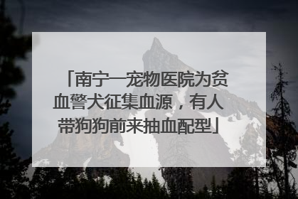 南宁一宠物医院为贫血警犬征集血源，有人带狗狗前来抽血配型