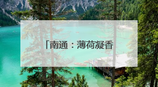 南通：薄荷凝香处，非遗岁月长