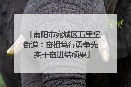 南阳市宛城区五里堡街道：奋楫笃行勇争先 实干奋进结硕果