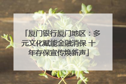 厦门银行厦门地区：多元文化赋能金融消保 十年存保宣传焕新声