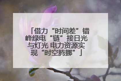 借力“时间差”错峰绿电“链”接日光与灯光 电力资源实现“时空腾挪”