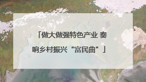 做大做强特色产业 奏响乡村振兴“富民曲”
