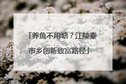 养鱼不用塘？江陵秦市乡创新致富路径