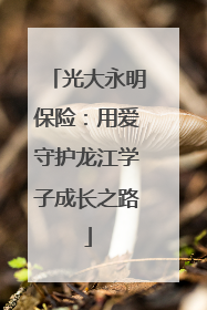 光大永明保险：用爱守护龙江学子成长之路