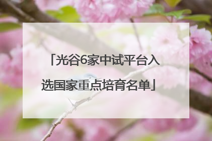 光谷6家中试平台入选国家重点培育名单