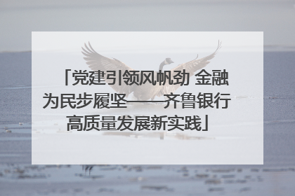 党建引领风帆劲 金融为民步履坚——齐鲁银行高质量发展新实践