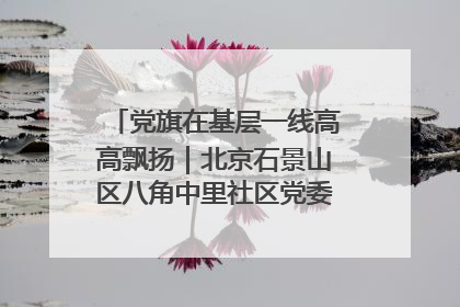 党旗在基层一线高高飘扬｜北京石景山区八角中里社区党委：用脚步丈量民生