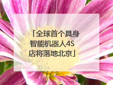 全球首个具身智能机器人4S店将落地北京