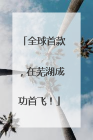 全球首款，在芜湖成功首飞！