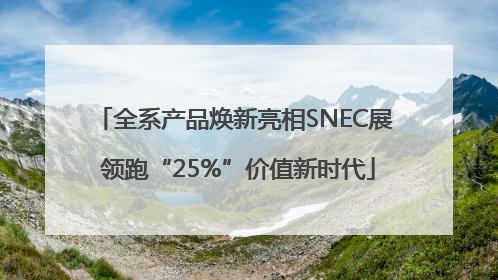 全系产品焕新亮相SNEC展 领跑“25%”价值新时代