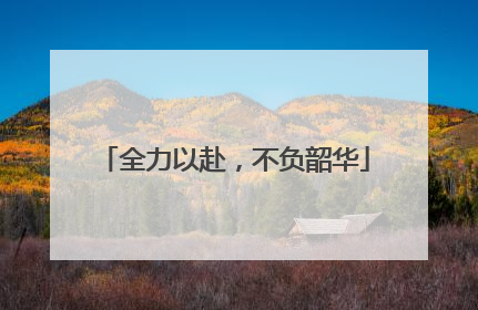 全力以赴，不负韶华