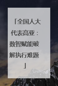 全国人大代表高亚：数智赋能破解执行难题