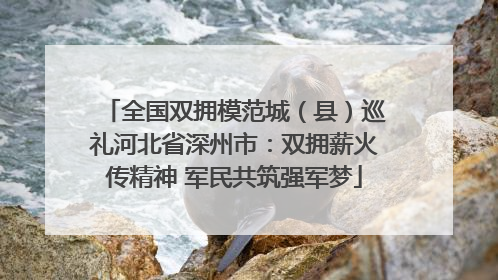 全国双拥模范城（县）巡礼河北省深州市：双拥薪火传精神 军民共筑强军梦