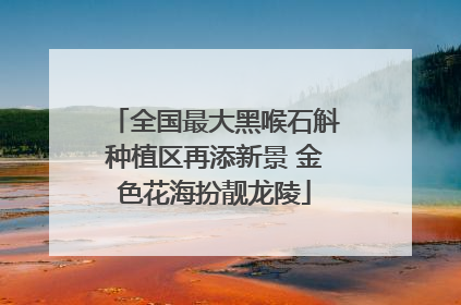 全国最大黑喉石斛种植区再添新景 金色花海扮靓龙陵