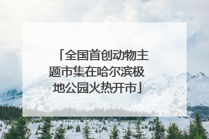 全国首创动物主题市集在哈尔滨极地公园火热开市