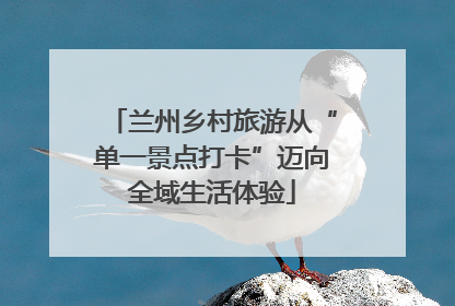 兰州乡村旅游从“单一景点打卡”迈向全域生活体验