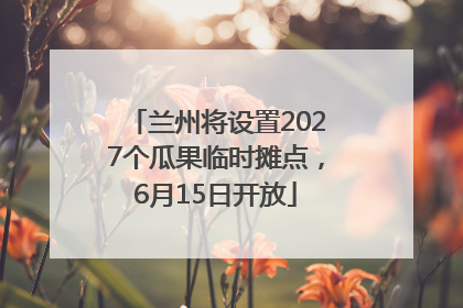 兰州将设置2027个瓜果临时摊点，6月15日开放