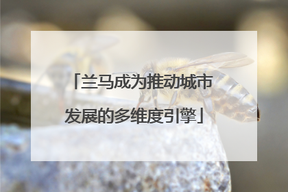兰马成为推动城市发展的多维度引擎