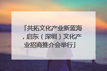 共拓文化产业新蓝海，启东（深圳）文化产业招商推介会举行