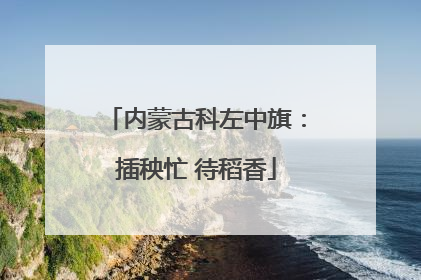 内蒙古科左中旗：插秧忙 待稻香