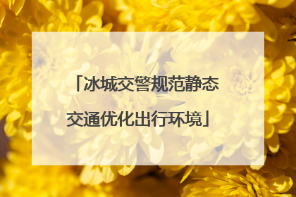 冰城交警规范静态交通优化出行环境