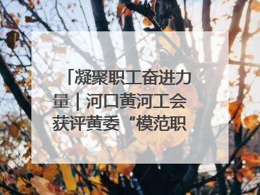 凝聚职工奋进力量｜河口黄河工会获评黄委“模范职工之家”侧记