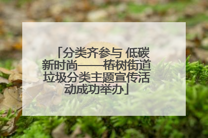 分类齐参与 低碳新时尚——椿树街道垃圾分类主题宣传活动成功举办