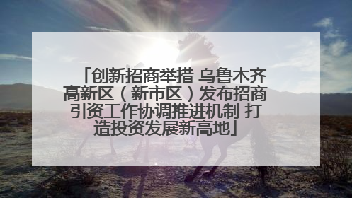 创新招商举措 乌鲁木齐高新区（新市区）发布招商引资工作协调推进机制 打造投资发展新高地