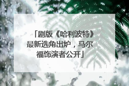 剧版《哈利波特》最新选角出炉，马尔福饰演者公开