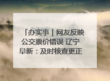 办实事｜网友反映公交票价错误 辽宁阜新：及时核查更正 加强实时巡检